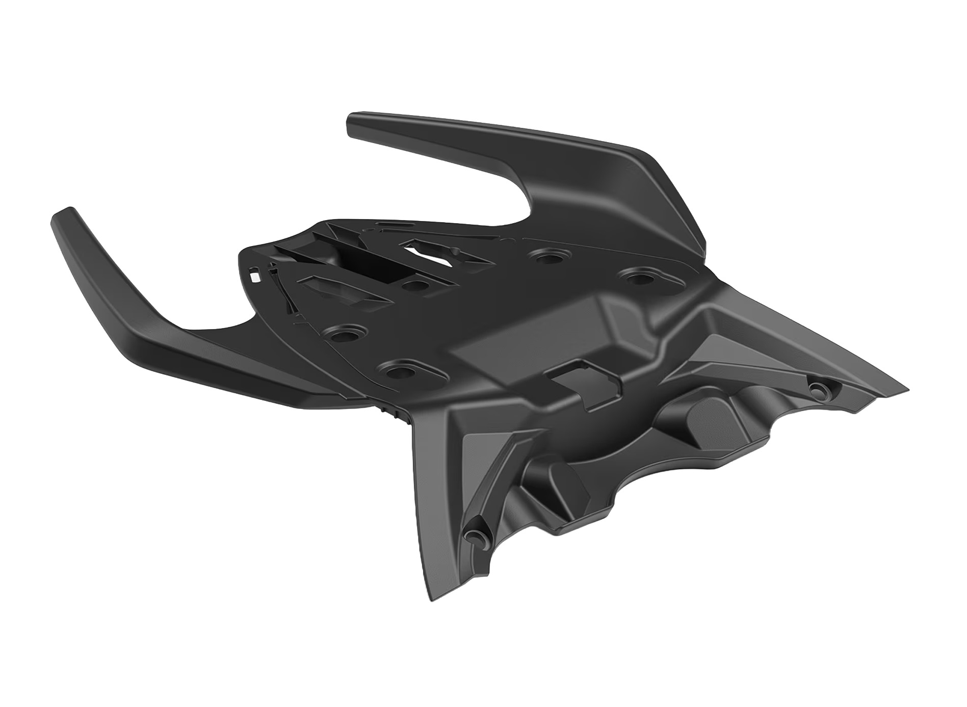 Poignée de maintien du passager pour Aprilia RS 457 (24-)